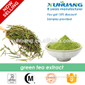 Natural Pure Green Tea Extract/Green Tea P.E.